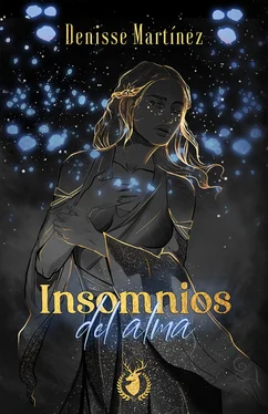 Denisse Martínez Insomnios del alma обложка книги