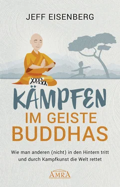 Jeff Eisenberg Kämpfen im Geiste Buddhas обложка книги