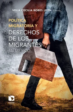 Luis Daniel Vázquez Valencia Política migratoria y derechos de los migrantes en México обложка книги