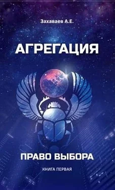 Антон Захаваев Право выбора (СИ) обложка книги