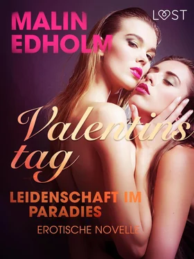 Malin Edholm Valentinstag: Leidenschaft im Paradies: Erotische Novelle обложка книги