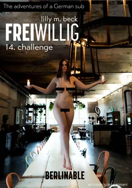 Lilly M. Beck FreiWillig - Episode 14 обложка книги