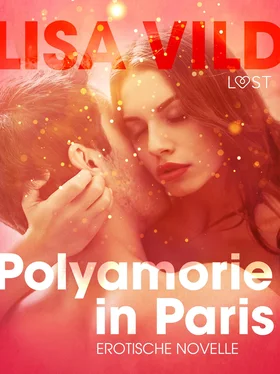 Lisa Vild Polyamorie in Paris: Erotische Novelle обложка книги