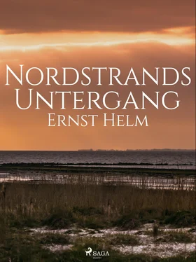 Ernst Helm Nordstrands Untergang обложка книги