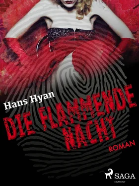 Hans Hyan Die flammende Nacht обложка книги