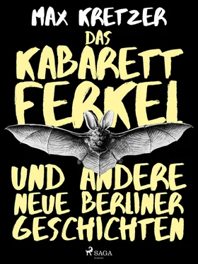 Max Kretzer Das Kabarettferkel und andere neue Berliner Geschichten обложка книги
