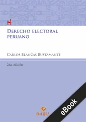Carlos Blancas Bustamente - Derecho electoral peruano