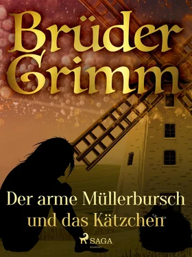 Brüder Grimm Der arme Müllerbursch und das Kätzchen обложка книги