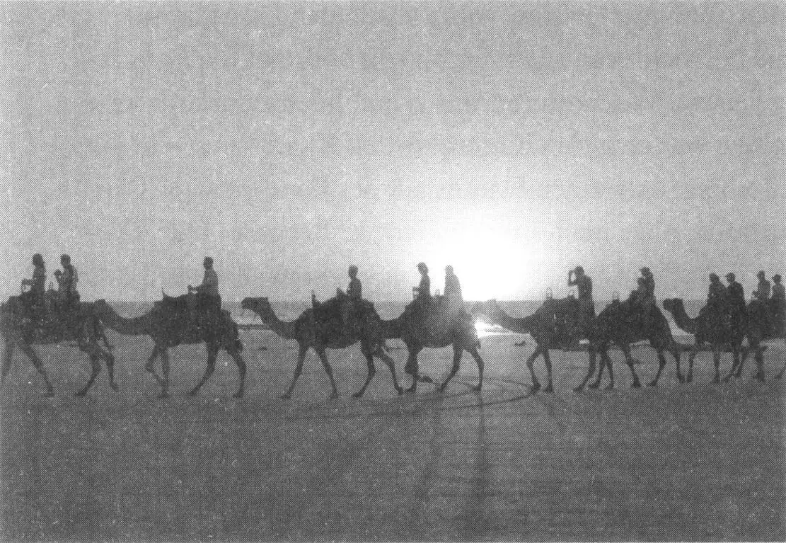 Spektakel im Abendlicht Kamelkarawane am Strand von Broome Andreas und Claudia - фото 7