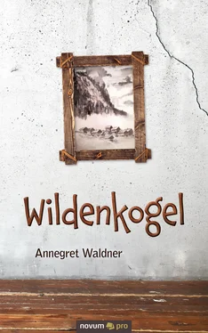 Annegret Waldner Wildenkogel обложка книги