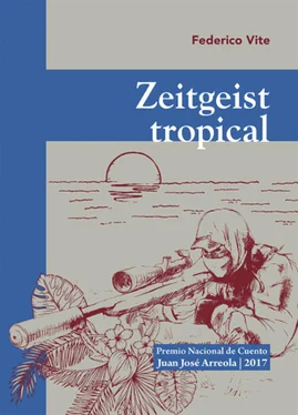 Federico Vite Zeitgeist tropical обложка книги