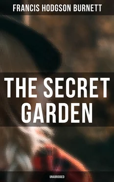 Francis Hodgson Burnett The Secret Garden (Unabridged) обложка книги