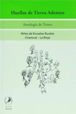 María Teresa Lerner Huellas de Tierra Adentro обложка книги