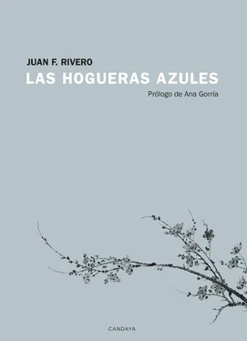 Juan F. Rivero Las hogueras azules обложка книги