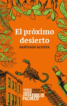 Santiago Acosta El próximo desierto обложка книги