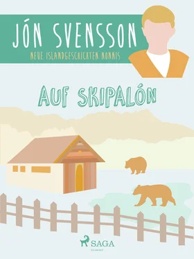 Jón Svensson Auf Skipalón: neue Islandgeschichten Nonnis обложка книги