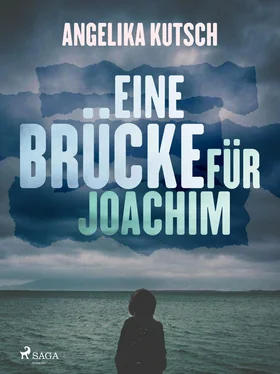 Angelika Kutsch Eine Brücke für Joachim обложка книги