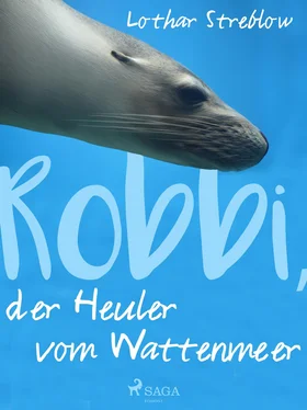 Lothar Streblow Robbi, der Heuler vom Wattenmeer обложка книги