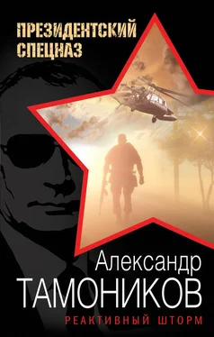 Александр Тамоников Реактивный шторм обложка книги