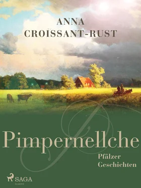 Anna Croissant-Rust Pimpernellche обложка книги