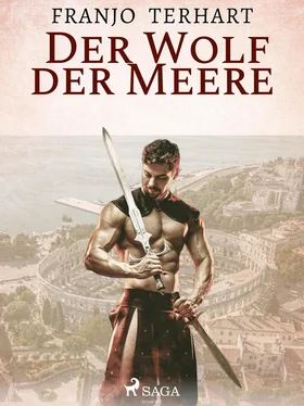 Franjo Terhart Der Wolf der Meere обложка книги