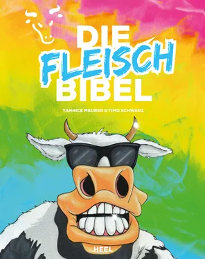 Timo Schwarz Die Fleischbibel обложка книги