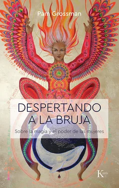 Pam Grossman Despertando a la bruja обложка книги