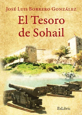 José Luis Borrero González El tesoro de Sohail обложка книги