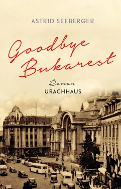 Astrid Seeberger Goodbye, Bukarest обложка книги