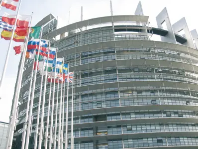 Parlamento Europeo De la misma manera mediante el Real Decreto 1092010 de 5 - фото 1