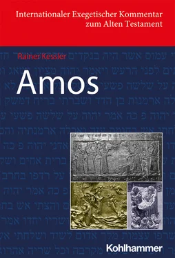 Rainer Kessler Amos обложка книги