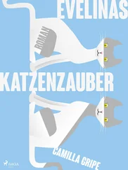 Camilla Gripe - Evelinas Katzenzauber