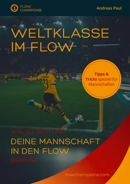 Andreas Paul Bosch Weltklasse im Flow обложка книги