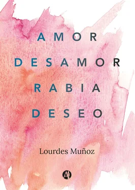 Lourdes Muñoz Amor, Desamor, Rabia, Deseo обложка книги