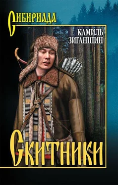 Камиль Зиганшин Скитники обложка книги