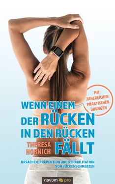 Theresa Hornich Wenn einem der Rücken in den Rücken fällt обложка книги