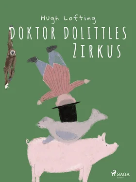 Hugh Lofting Doktor Dolittles Zirkus обложка книги