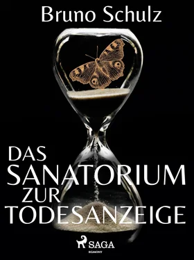 Bruno Schulz Das Sanatorium zur Todesanzeige обложка книги