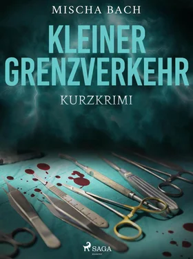 Mischa Bach Kleiner Grenzverkehr - Kurzkrimi обложка книги
