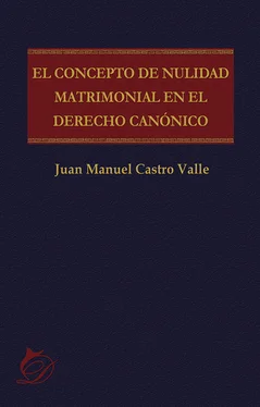 Juan Manuel Castro Valle El concepto de nulidad matrimonial en el derecho canónico обложка книги