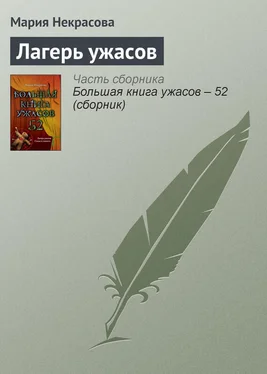 Мария Некрасова Лагерь ужасов обложка книги