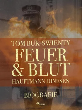 Tom Buk-Swienty Feuer und Blut обложка книги