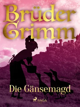 Brüder Grimm Die Gänsemagd обложка книги