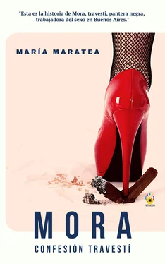 María Maratea Mora. Confesión travestí обложка книги