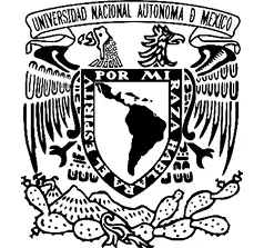 Universidad Nacional Autónoma de México México 2020 Catalogación en la - фото 3