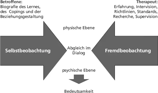 Abb 24 Problembearbeitung durch das dialogische Prinzip Die Beobachtung kann - фото 60