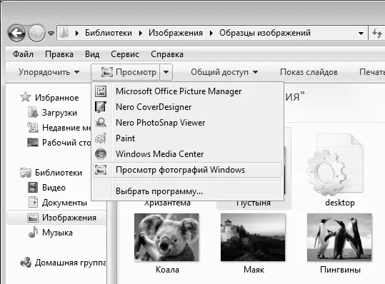 Рис 101Выбор для просмотра Windows Photo Viewer Отметим что если Windows - фото 239