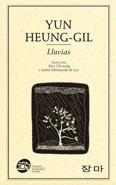 Heung-gil Yun Lluvias обложка книги