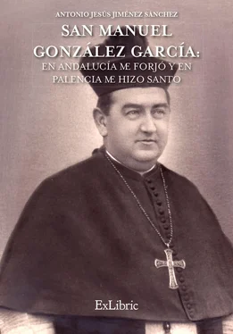 Antonio Jesús Jiménez Sánchez San Manuel González García: En Andalucía me forjó y en Palencia me hizo Santo обложка книги