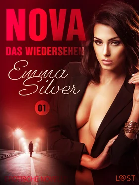 Emma Silver Nova 1 - Das Wiedersehen: Erotische Novelle обложка книги